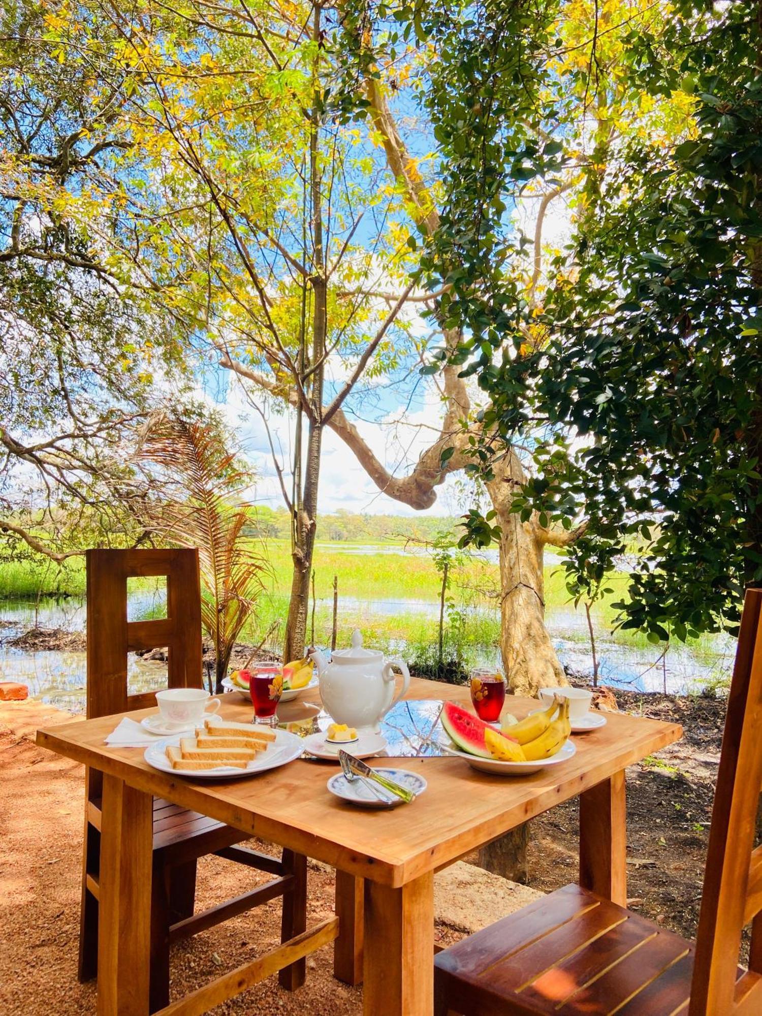 Nature Lotus Villa Дамбула Екстериор снимка