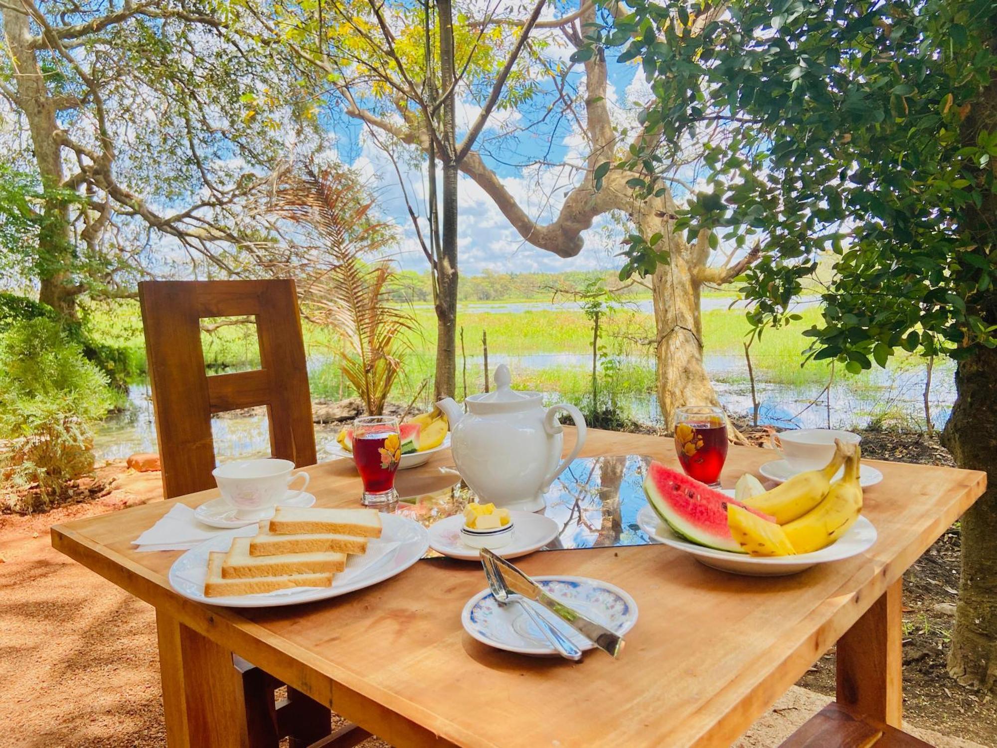 Nature Lotus Villa Дамбула Екстериор снимка