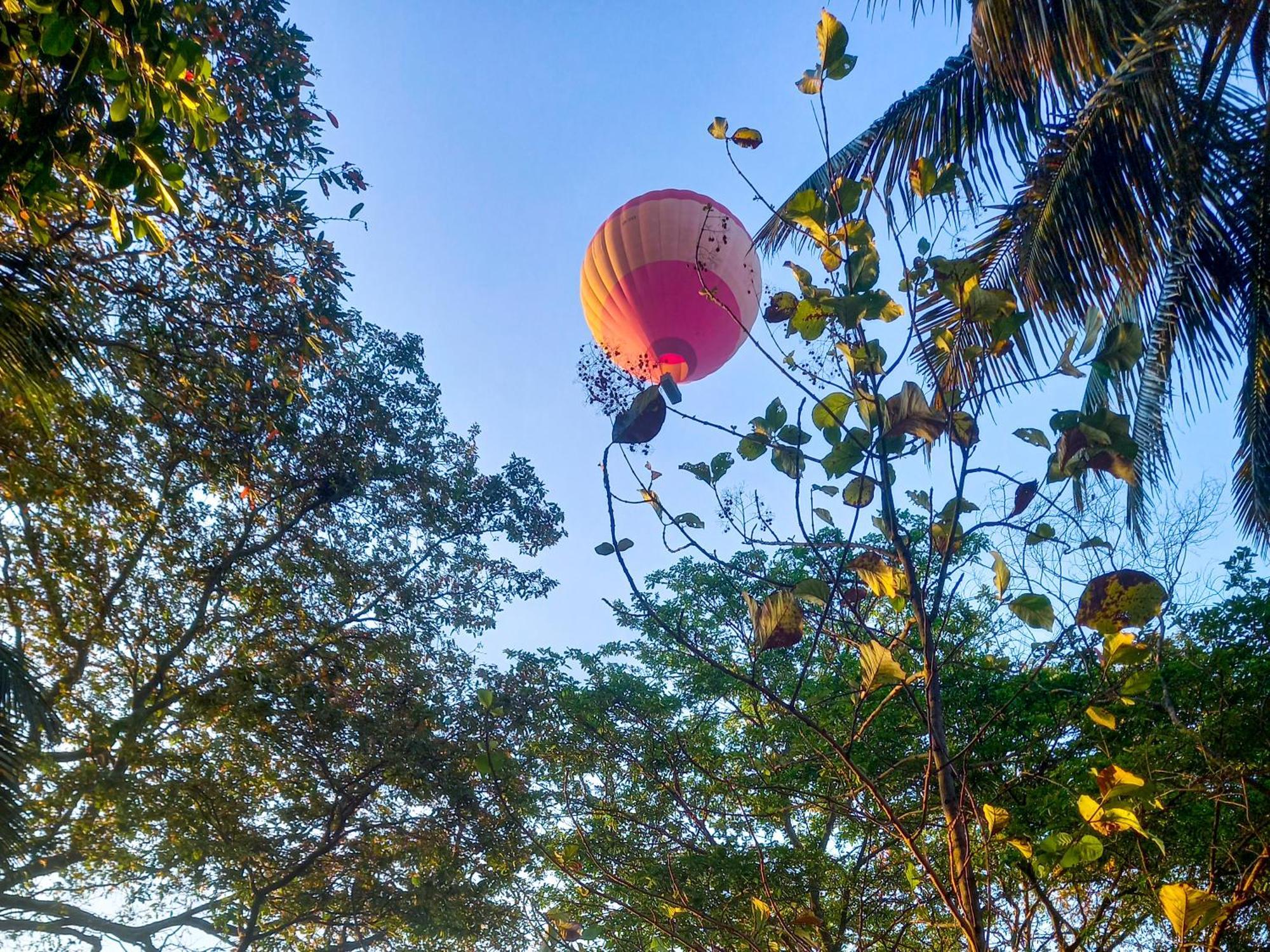 Nature Lotus Villa Дамбула Екстериор снимка
