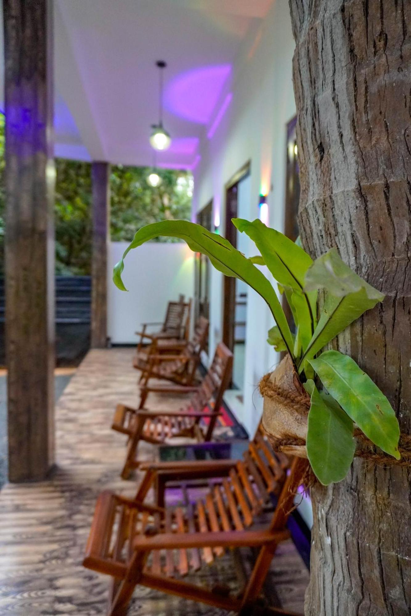 Nature Lotus Villa Дамбула Екстериор снимка