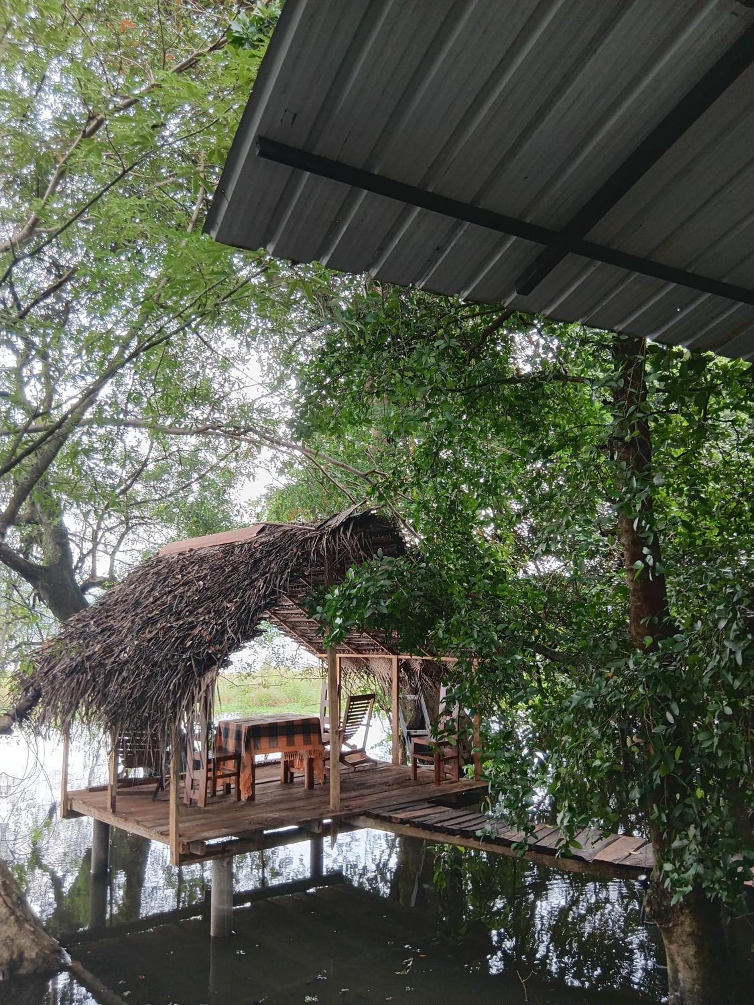 Nature Lotus Villa Дамбула Екстериор снимка